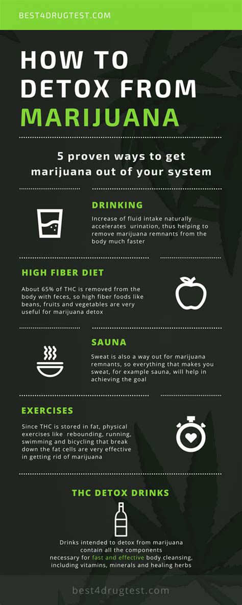 How To Get Marijuana Out Of Your System Infographic High To The Sky How To Get Marijuana Out Of Your System Infographic High To The Sky