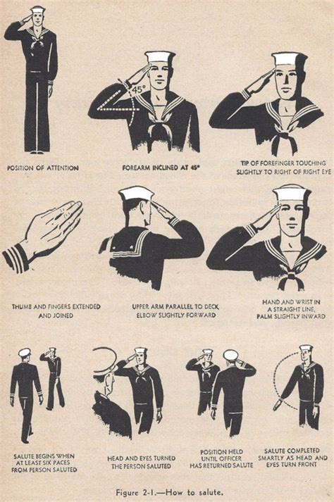 How To The Official Guide To Saluting In The Military How To The Official Guide To Saluting In The Military
