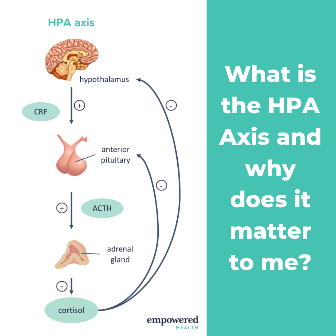 Hpa Health Plan Alliance Hpa Health Plan Alliance