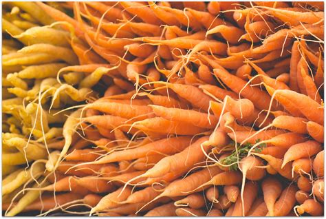 Ingredient Spotlight Carrots Are Health Gold Mines Urban Remedy Ingredient Spotlight Carrots Are Health Gold Mines Urban Remedy