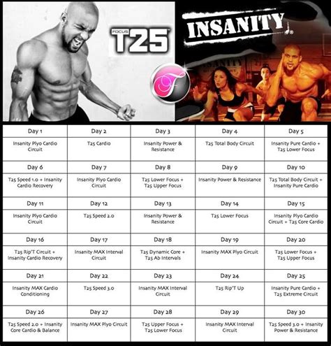 Insanity Shaun T Calendar Noah C Knudsen Insanity Shaun T Calendar Noah C Knudsen