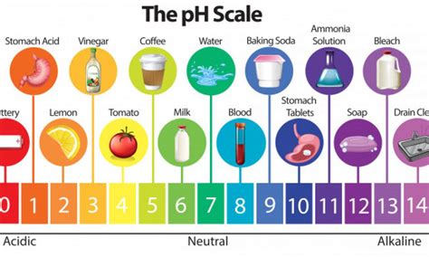 Is 98 Alkalinity Health