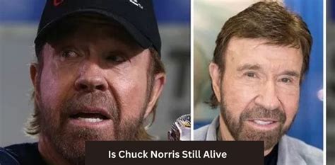 Is Chuck Norris Still Alive What Is Chuck Norris Doing Now Is Chuck Norris Still Alive What Is Chuck Norris Doing Now