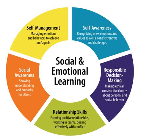 Is Sel A Mental Health Program