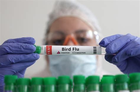 Is There A Bird Flu Vaccine