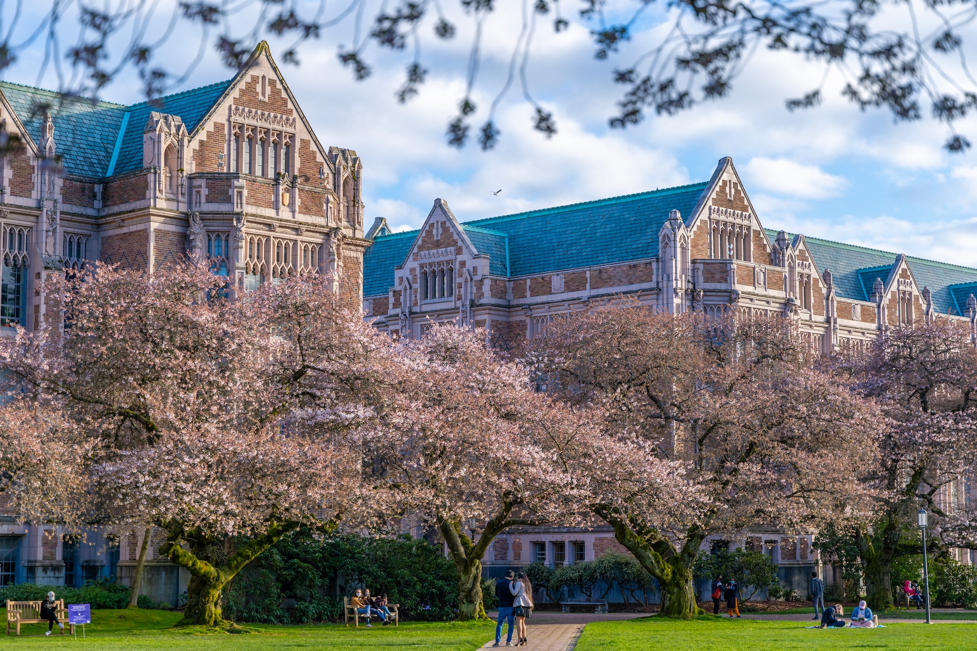 Is University Health For Profit