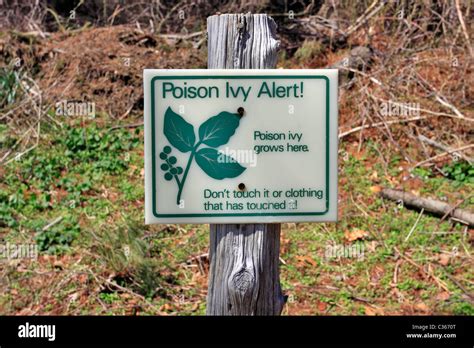Ivy Alert System