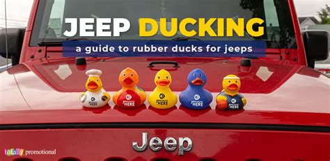 Jeep Ducking A Guide To Rubber Ducks For Jeeps Totally Inspired Jeep Ducking A Guide To Rubber Ducks For Jeeps Totally Inspired