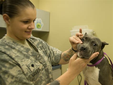 Joint Base Charleston Veterinary Treatment Facility Offers Services To Joint Base Charleston Veterinary Treatment Facility Offers Services To