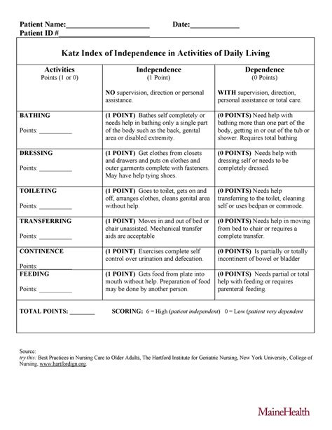 Katz Index Of Independence In Activities Of Daily Living Example Katz Index Of Independence In Activities Of Daily Living Example