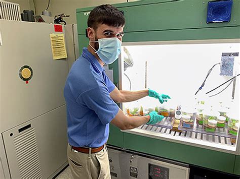 Kennedy Space Center Teams With Usda To Study Benefits Of Fungus For Kennedy Space Center Teams With Usda To Study Benefits Of Fungus For