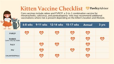 Kitten Vaccine Schedule For First Year Shots Chart Pawlicy Advisor Kitten Vaccine Schedule For First Year Shots Chart Pawlicy Advisor