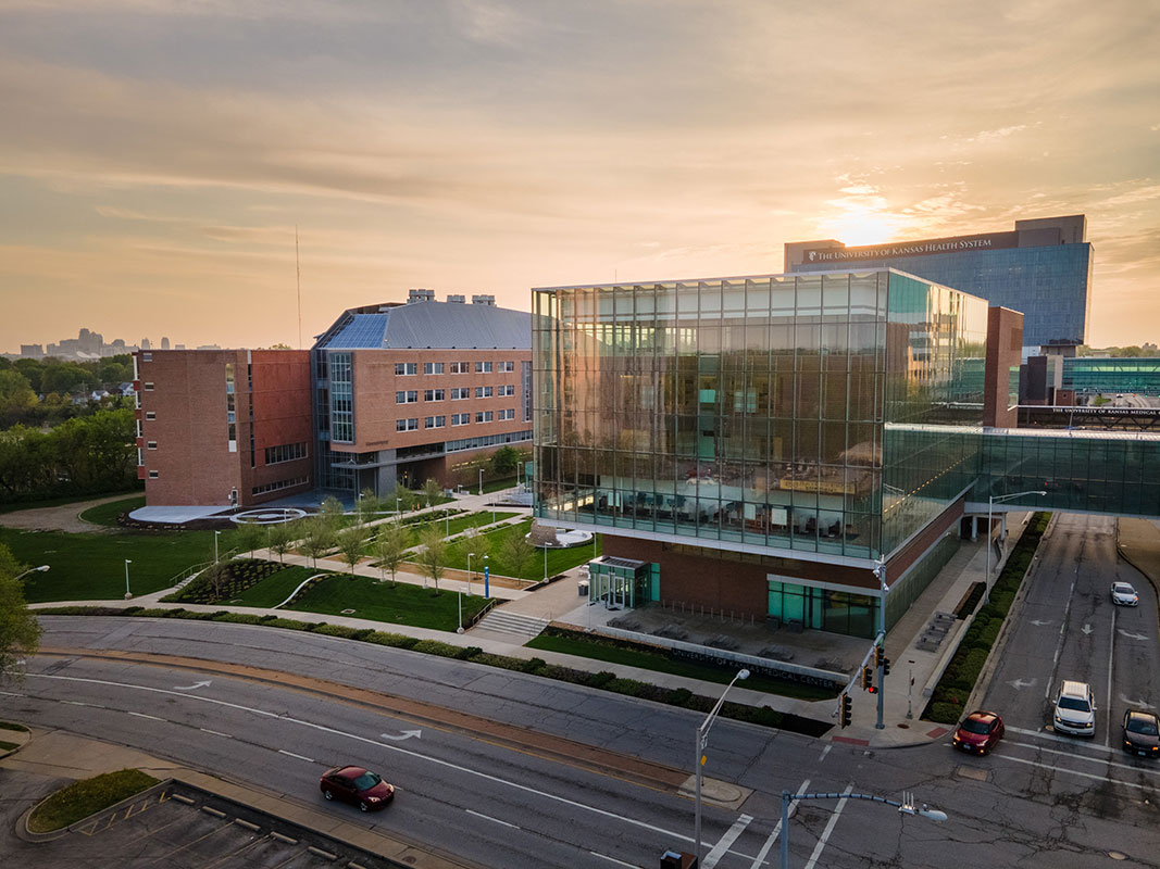 Ku Health System Adding Topeka S St Francis Ingram S Ku Health System Adding Topeka S St Francis Ingram S