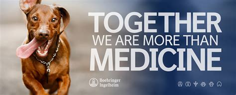 Kvma Boehringer Ingelheim Animal Health Kvma Boehringer Ingelheim Animal Health