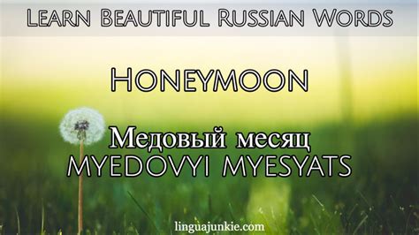 Learn Russian The Top 20 Beautiful Russian Words You Should Know Learn Russian The Top 20 Beautiful Russian Words You Should Know