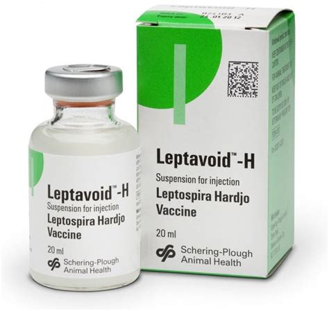 Leptospira Vaccine