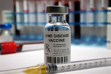 Lyme Disease Vaccine Protection