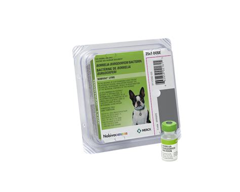 Lyme Vaccine For Dogs Protection