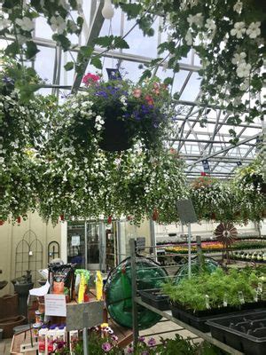 Lynden Nursery Plant Experts