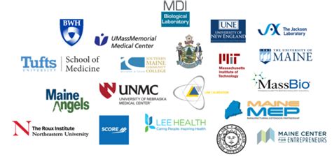 Mainehealth Innovation Mainehealth Innovation