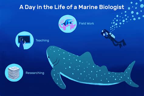 Marine Biologist Job Description Salary Skills More Marine Biologist Job Description Salary Skills More