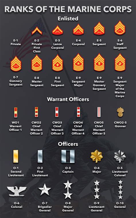 Marine Corps Ranks In Order A Complete Guide Marine Corps Ranks In Order A Complete Guide