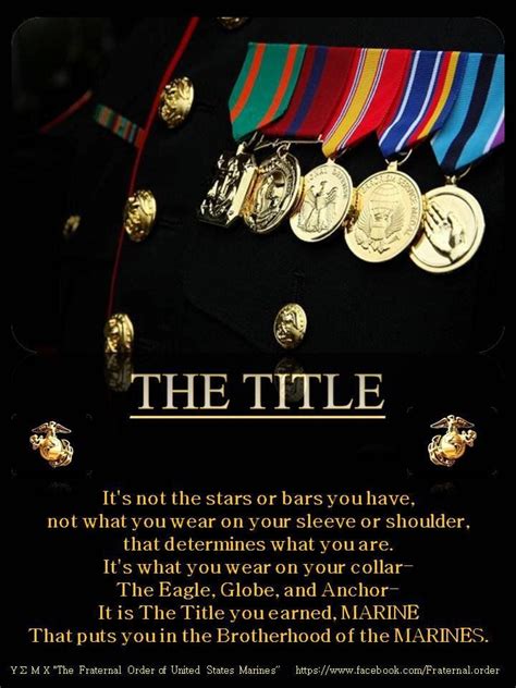 Marine Corps Section 8