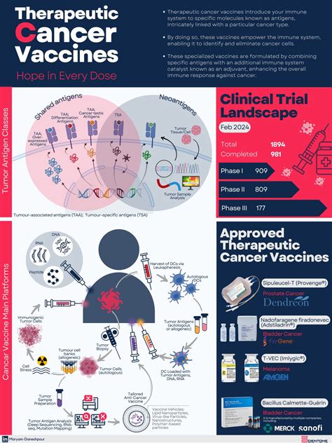 Maryam Daneshpour On Linkedin Vaccines Hpv Cancer Antigens Maryam Daneshpour On Linkedin Vaccines Hpv Cancer Antigens