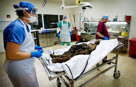 Medical Examiner Medical Examiner