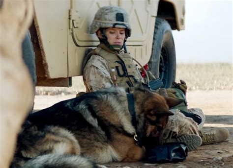Megan Leavey And The Combat Dog Rex And Kate Mara In The Movie Learn Megan Leavey And The Combat Dog Rex And Kate Mara In The Movie Learn