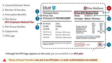 Member Id Card Prime Healthcare Member Id Card Prime Healthcare