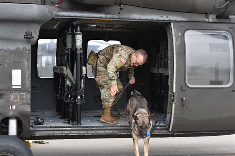 Military Working Dogs And Their Handlers Receive Medical Evacuation