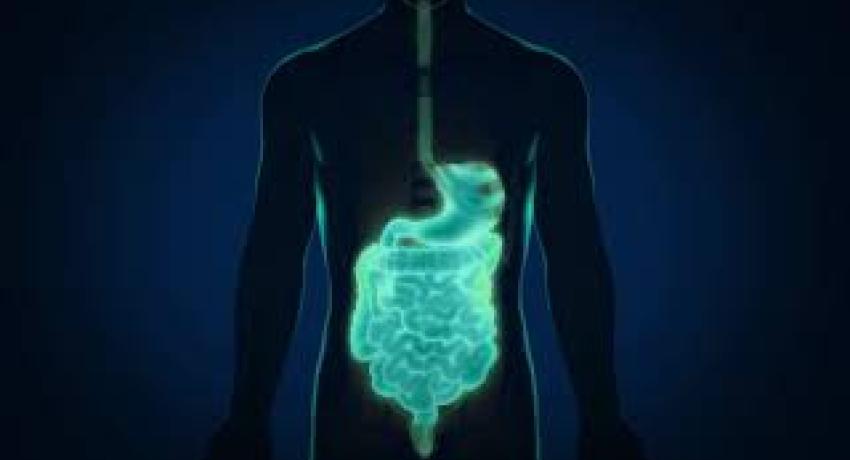 Mngi Digestive Health