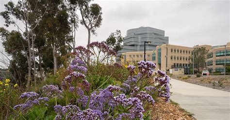 Modeling Sustainable Health Care At Uc San Diego Health Modeling Sustainable Health Care At Uc San Diego Health