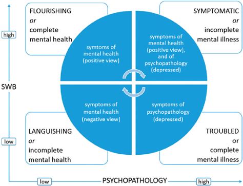 Models Of Mental Health Illness Models Of Mental Health Illness