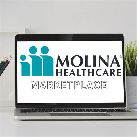 Molina Healthcare Equipment And Services 2024