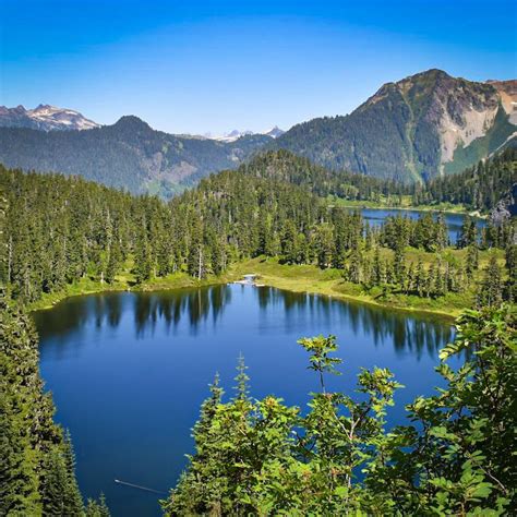 Mount Baker Snoqualmie National Forest Washington Usa Hiking Mount Baker Snoqualmie National Forest Washington Usa Hiking