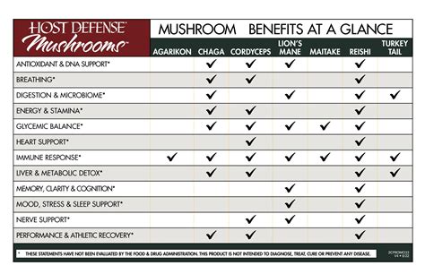 Mushroom Benefits At A Glance