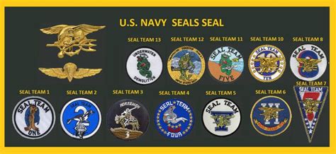 Number Of Navy Seals