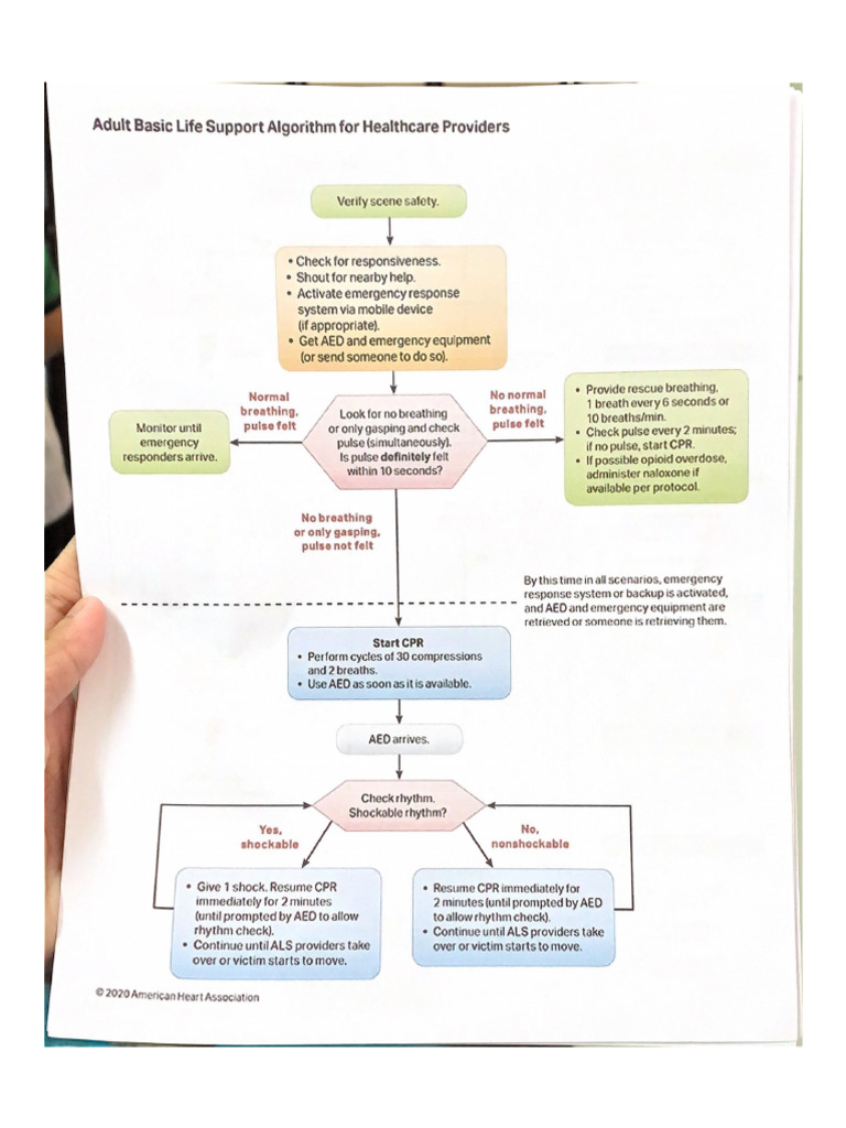 Occupational Health For Healthcare Providers Pictures Occupational Health For Healthcare Providers Pictures
