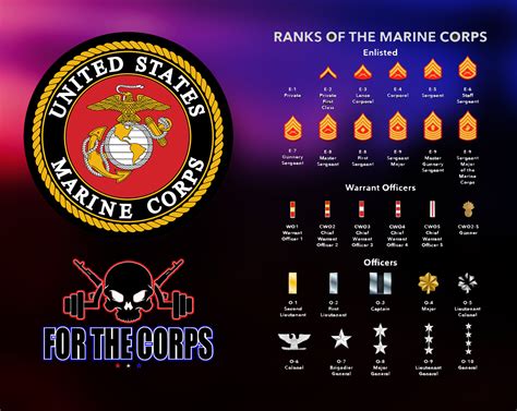 Officer Rank Marine Corps Usmc Ranks Usmc Officer Rank Marine Corps Usmc Ranks Usmc