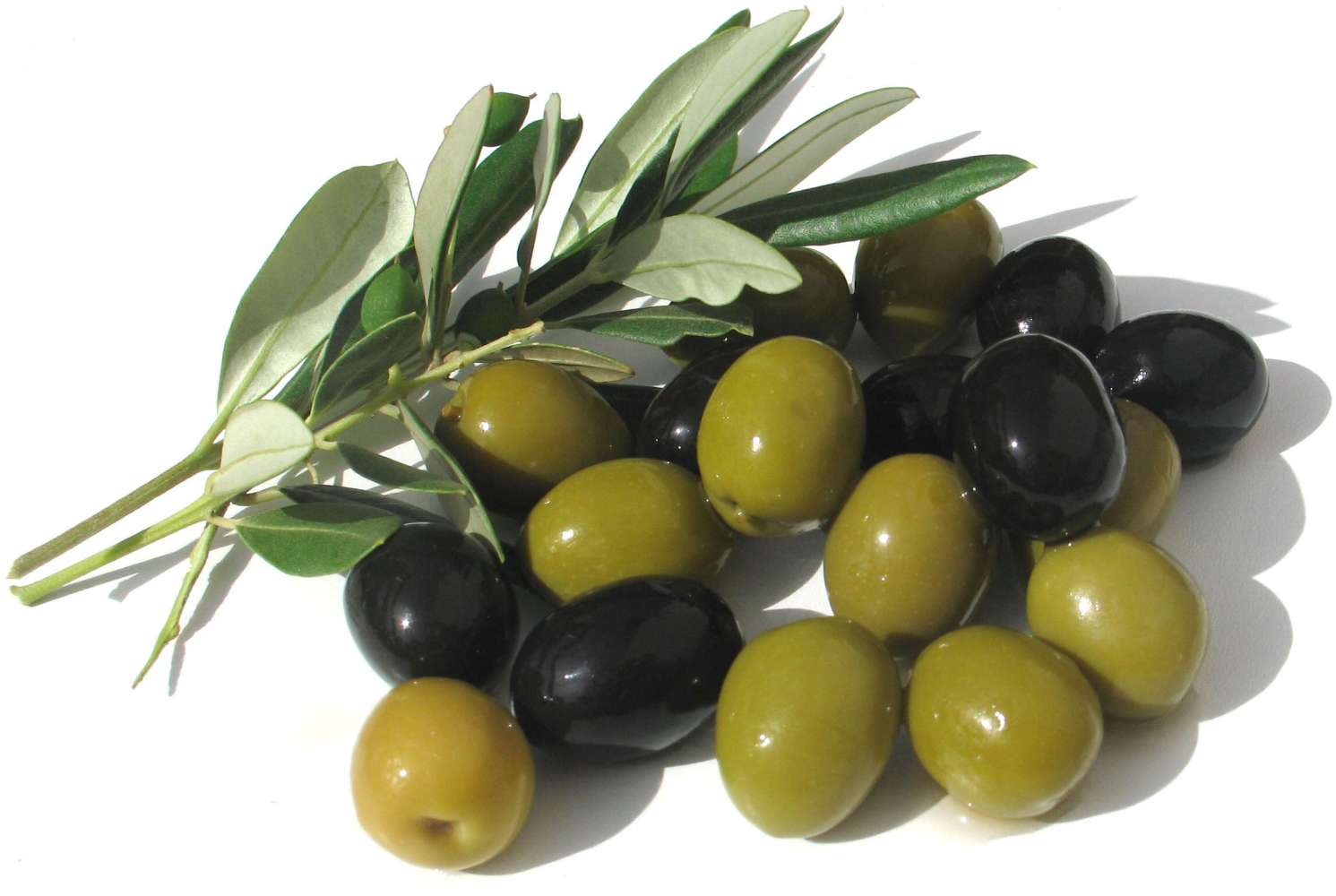Olive Garden Catering Billings Mt Erasmo Gaines Olive Garden Catering Billings Mt Erasmo Gaines