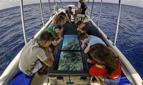 Onboard Experience Royal Caribbean International