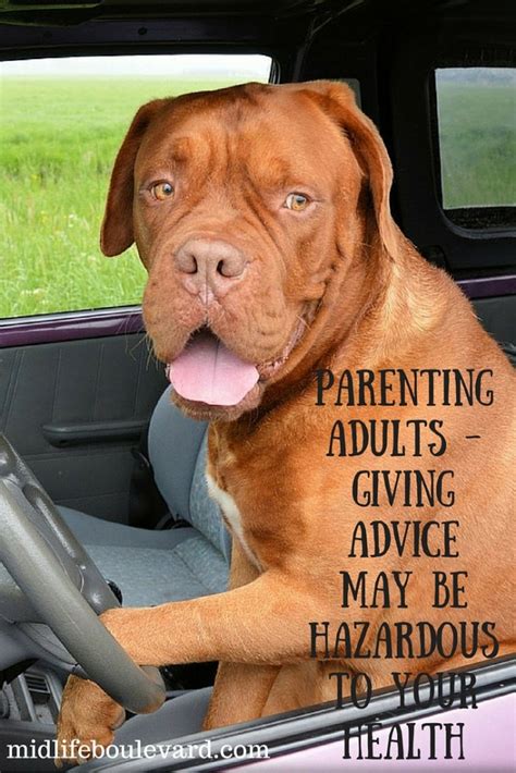 Parenting Is Hazardous To Your Health