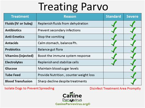 Parvovirus In Dogs Treatment Parvovirus In Dogs Treatment