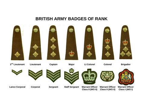 Pdf British Army Badges Of Rankbritish Army Badges Of Rank 2Nd Pdf British Army Badges Of Rankbritish Army Badges Of Rank 2Nd