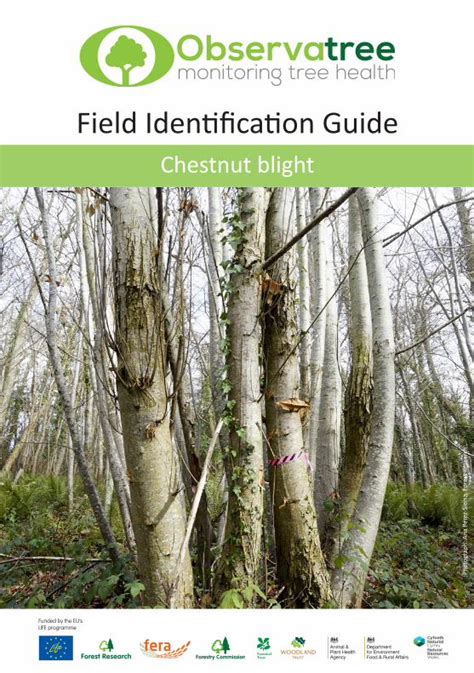 Pdf Field Identification Guide Observatree Chestnut Blight Is A Pdf Field Identification Guide Observatree Chestnut Blight Is A