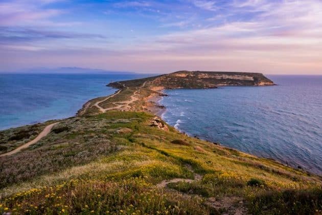 Peninsula Alternative Health