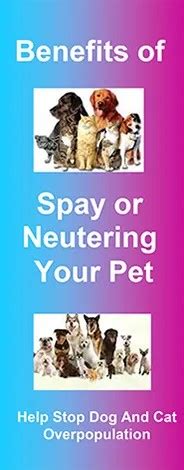 Pet Parenting Brochures Have A Heart For Companion Animals Inc Pet Parenting Brochures Have A Heart For Companion Animals Inc
