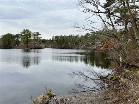 5 Tips Peterson Pond